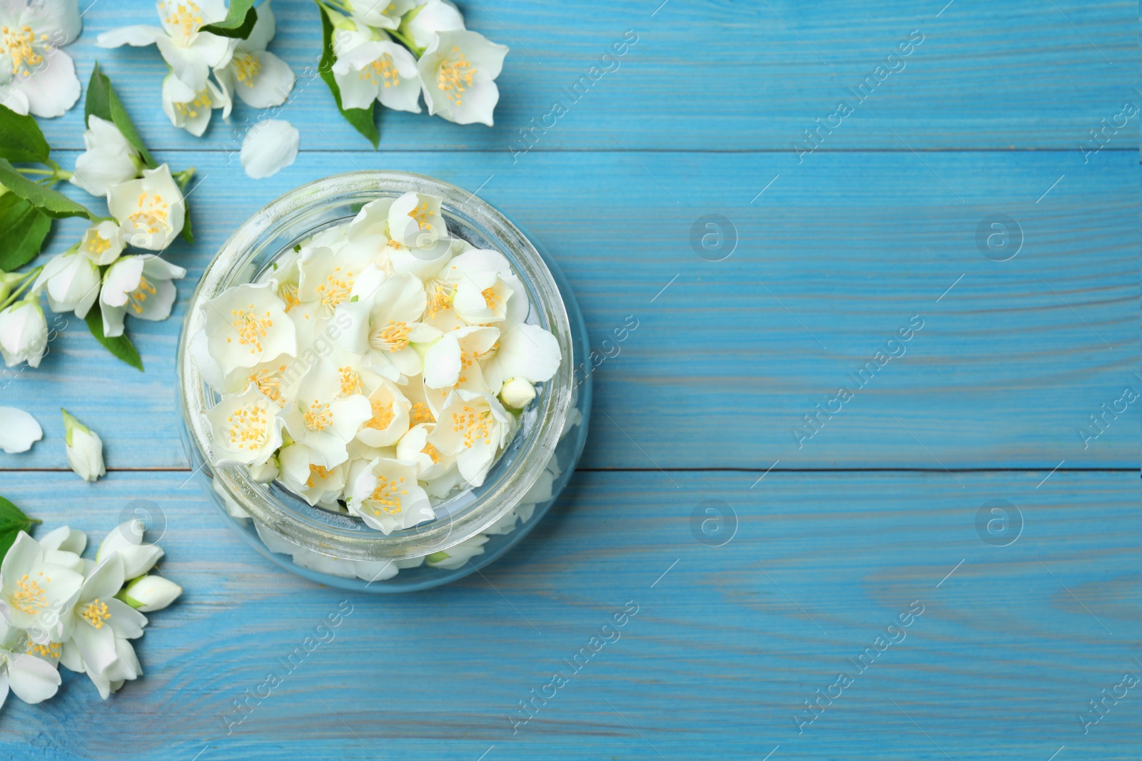 Photo of Flat lay composition with beautiful jasmine flowers on light blue wooden background. Space for text