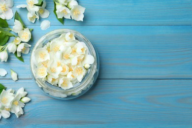 Flat lay composition with beautiful jasmine flowers on light blue wooden background. Space for text