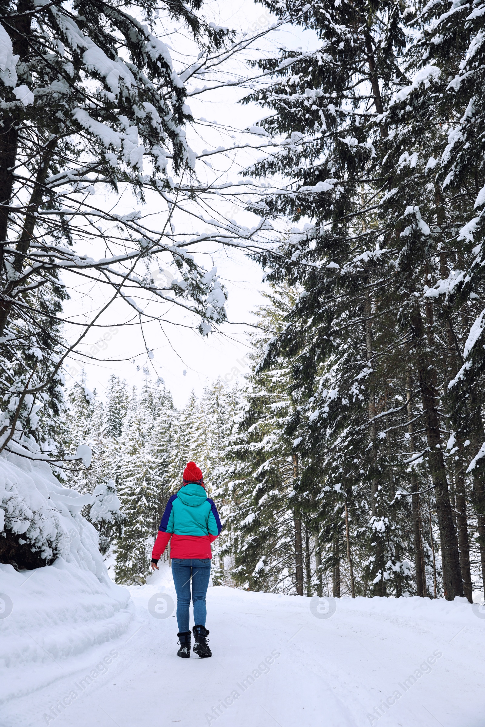 Photo of Woman walking along empty road in winter forest