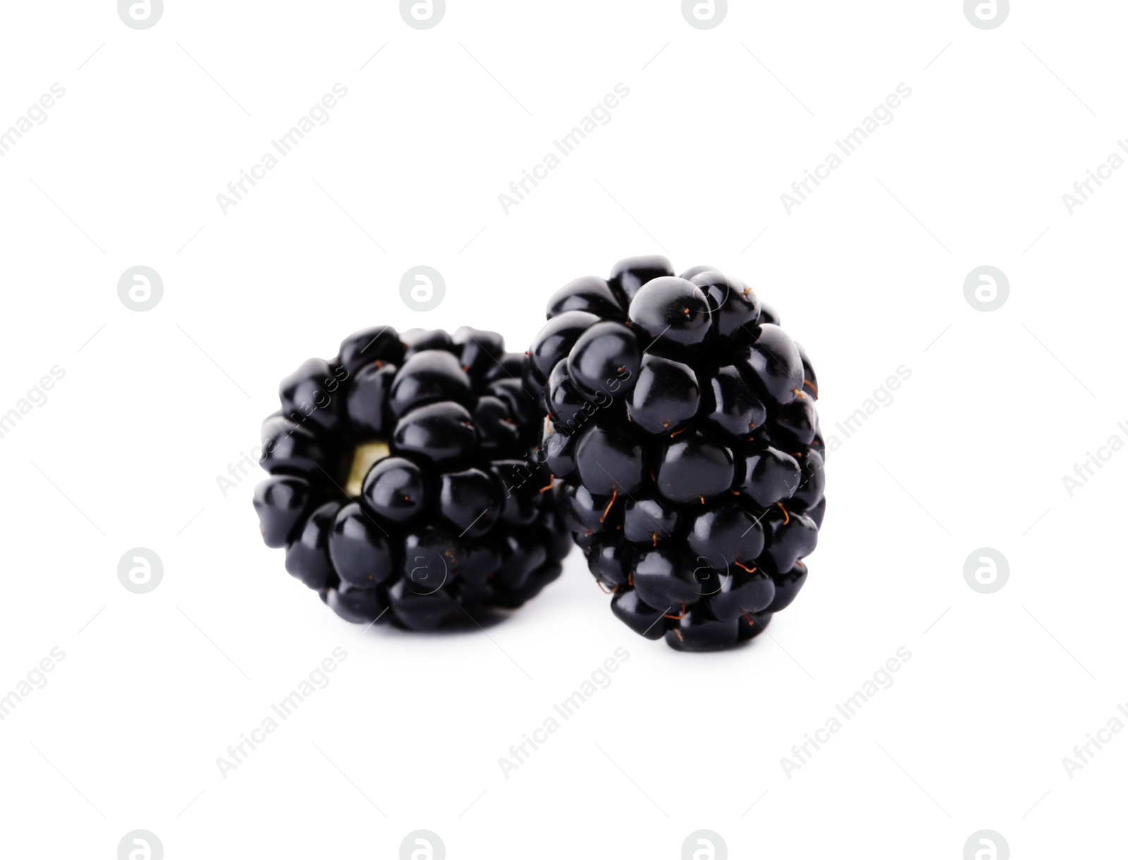 Photo of Two tasty ripe blackberries on white background