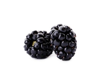 Two tasty ripe blackberries on white background