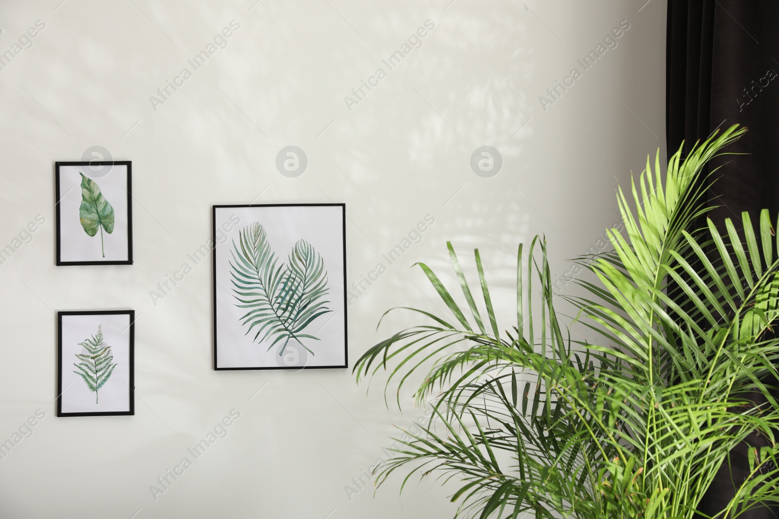 Photo of Beautiful pictures on white wall. Idea for interior design