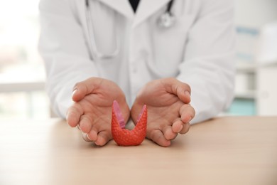 Photo of Doctor with plastic model of healthy thyroid at wooden table in office, closeup