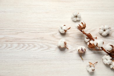 Dry cotton branch with fluffy flowers on white wooden table, flat lay. Space for text