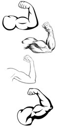 Illustration of Strong muscular arms isolated on white, illustrations