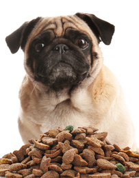 Cute pug and pile of dog food on white background