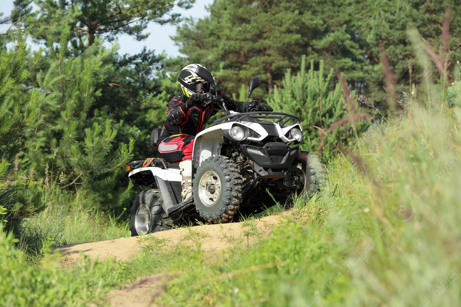 Photo of Man driving modern quad bike on sandy road near forest. Extreme sport