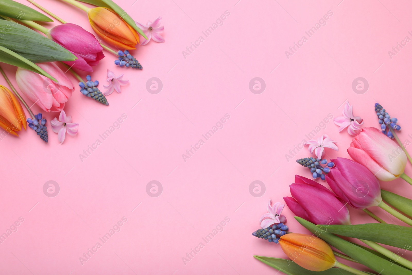 Photo of Beautiful different flowers on pink background, flat lay. Space for text