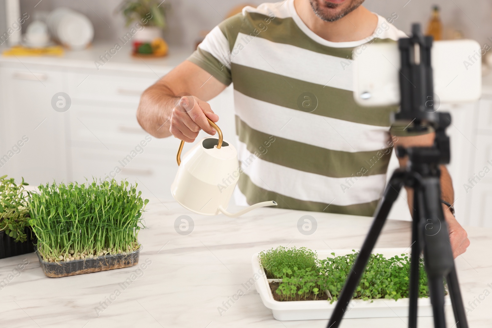 Photo of Teacher with microgreens and watering can conducting online course in kitchen, closeup. Time for hobby