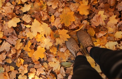 Photo of Woman in park with autumn leaves, top view