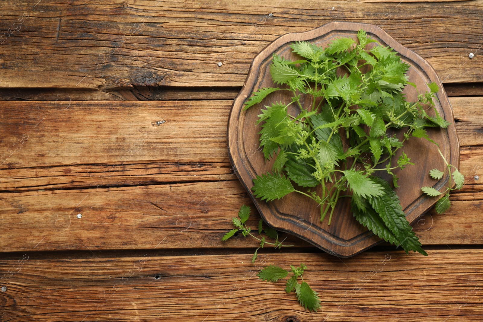 Photo of Fresh stinging nettle leaves on wooden table, flat lay. Space for text