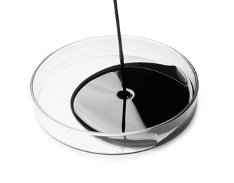 Photo of Pouring black crude oil into Petri dish on white background