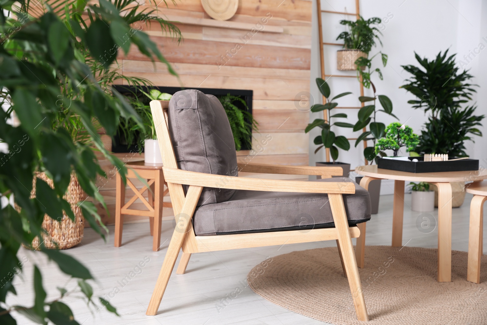 Photo of Stylish living room interior with armchair, green plants and miniature zen garden. Home design ideas