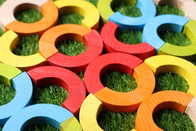 Colorful wooden pieces of play set on green grass, closeup. Educational toy for motor skills development