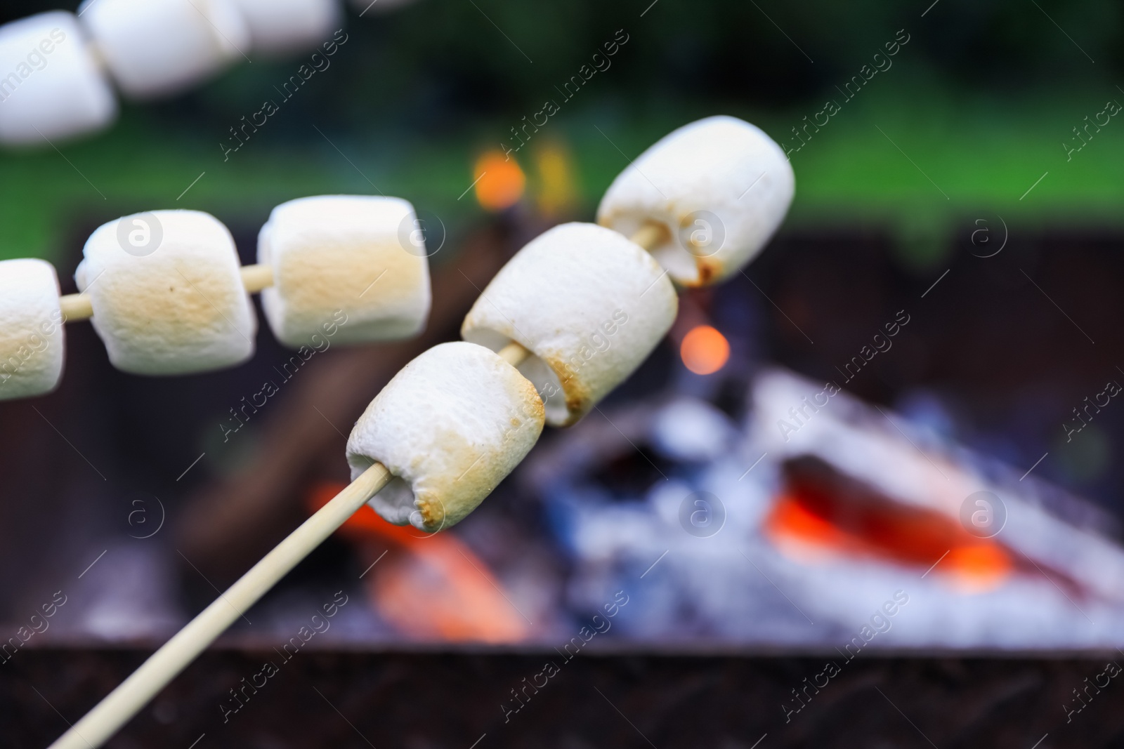 Photo of Delicious puffy marshmallows roasting over bonfire, closeup. Space for text