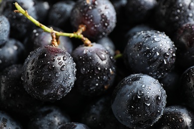 Fresh ripe juicy black grapes as background, closeup view