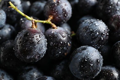 Photo of Fresh ripe juicy black grapes as background, closeup view