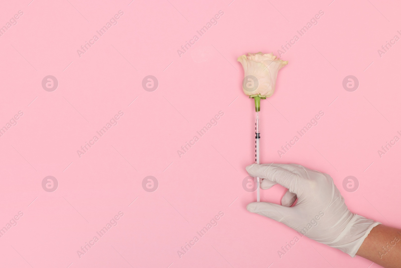 Photo of Doctor making injection to rose on pink background, top view. Space for text