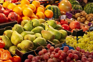 Photo of Many different fresh ripe fruits on counter at market