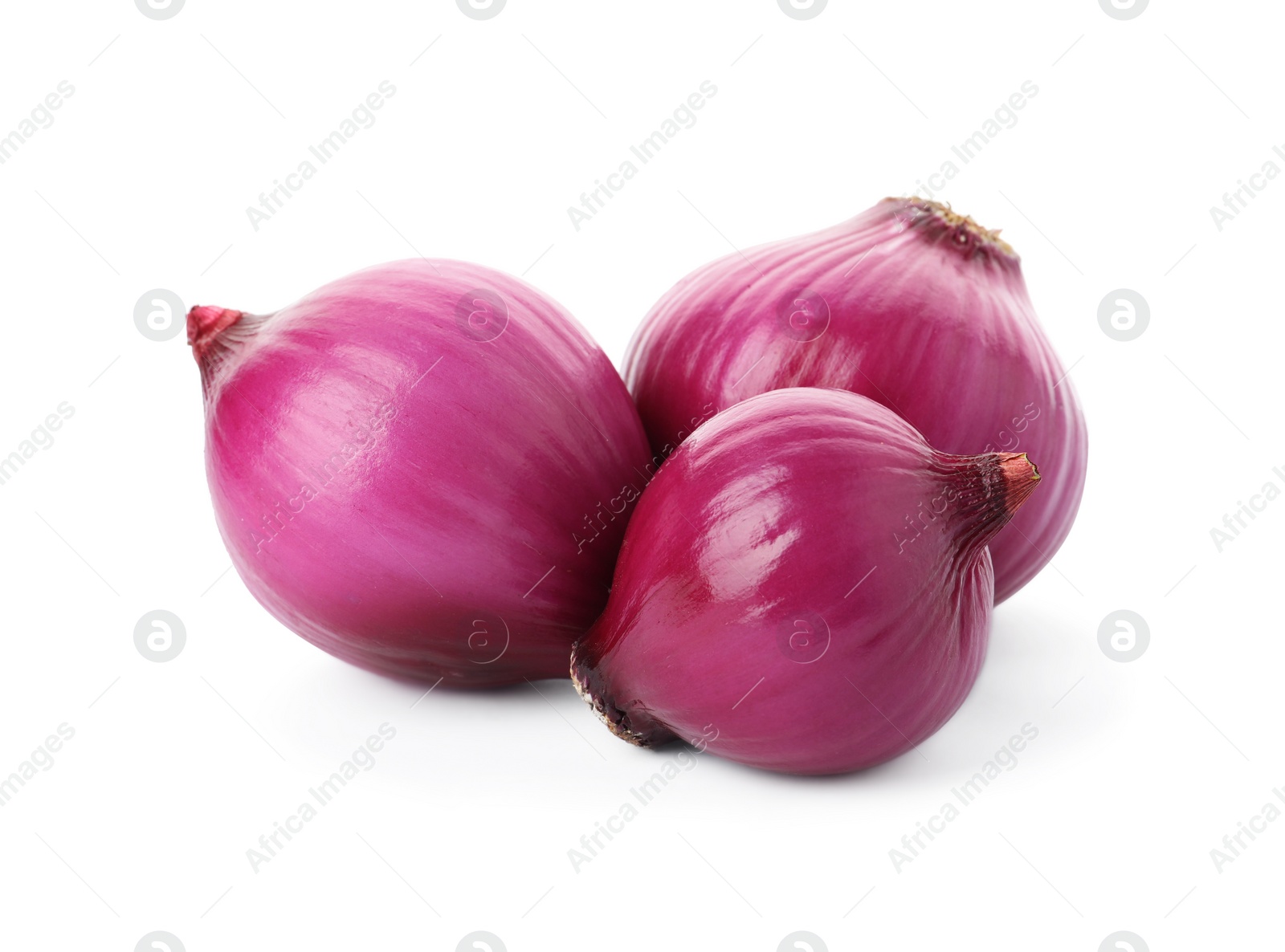 Photo of Fresh red onion bulbs isolated on white