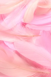 Photo of Beautiful pink feathers as background, closeup view