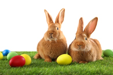 Cute bunnies and Easter eggs on green grass against white background