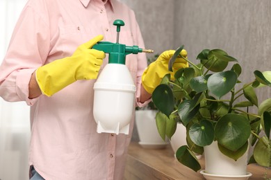 Photo of Housewife spraying green houseplants at home, closeup