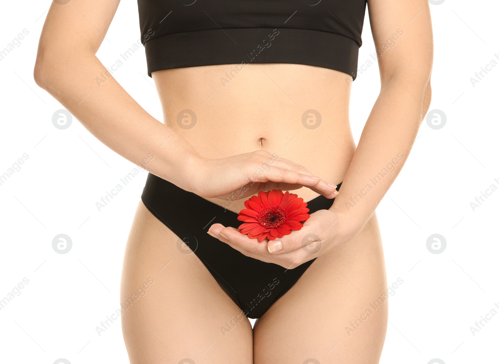 Photo of Gynecology. Woman in underwear with gerbera flower on white background, closeup