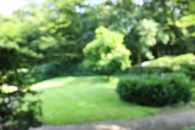 Photo of Blurred view of beautiful green trees and shrubs in garden on sunny day