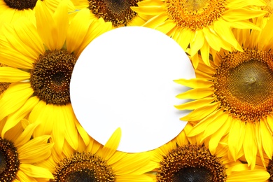 Photo of Beautiful bright sunflowers and card as color background