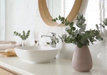 Fresh eucalyptus branches on countertop in bathroom