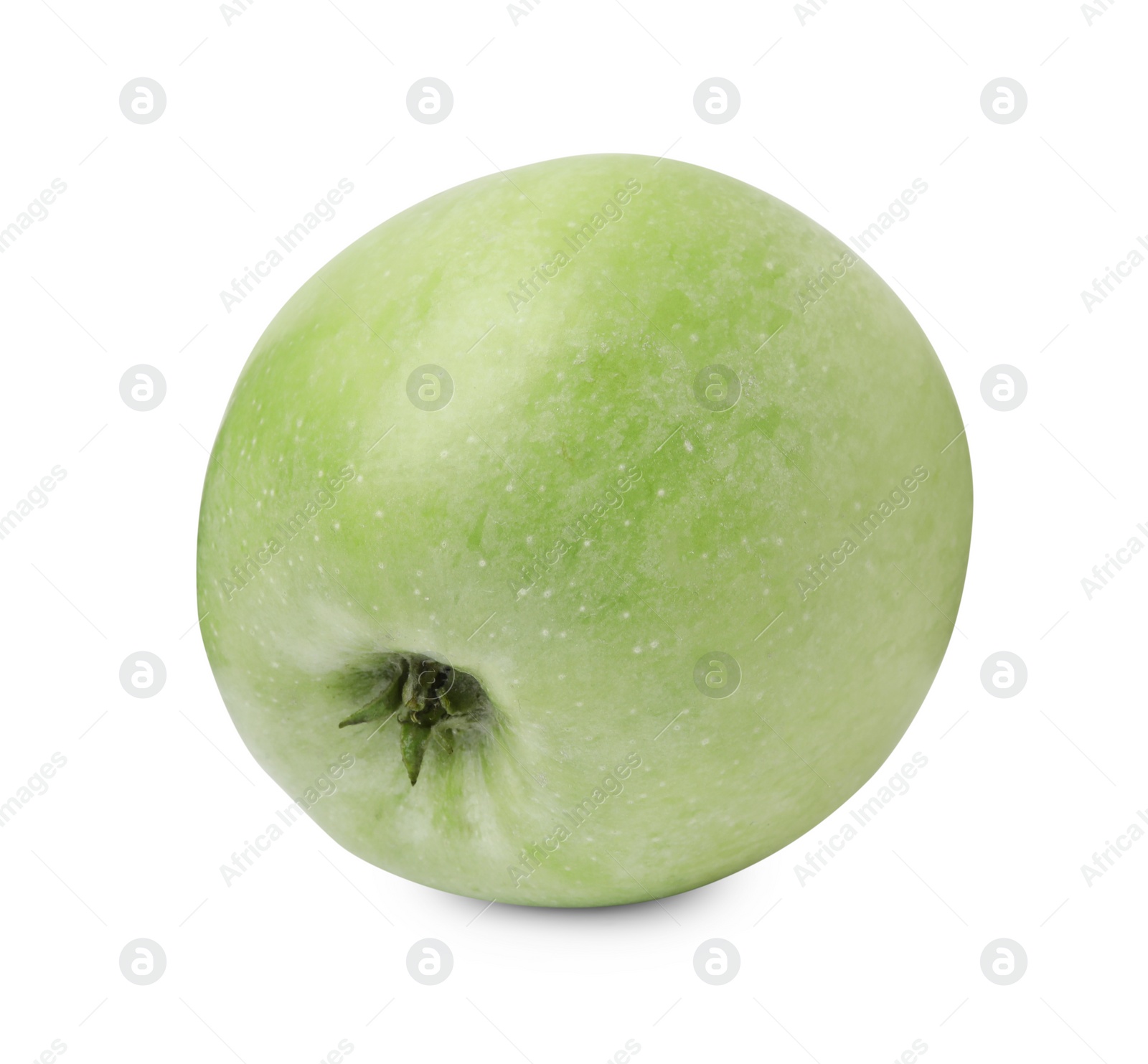 Photo of Whole ripe green apple isolated on white