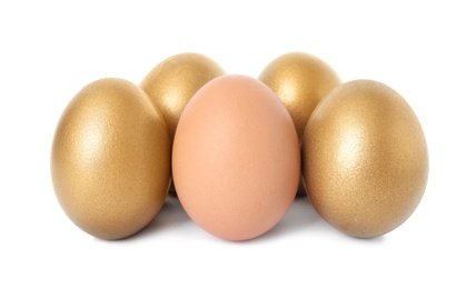 Golden eggs with different one on white background