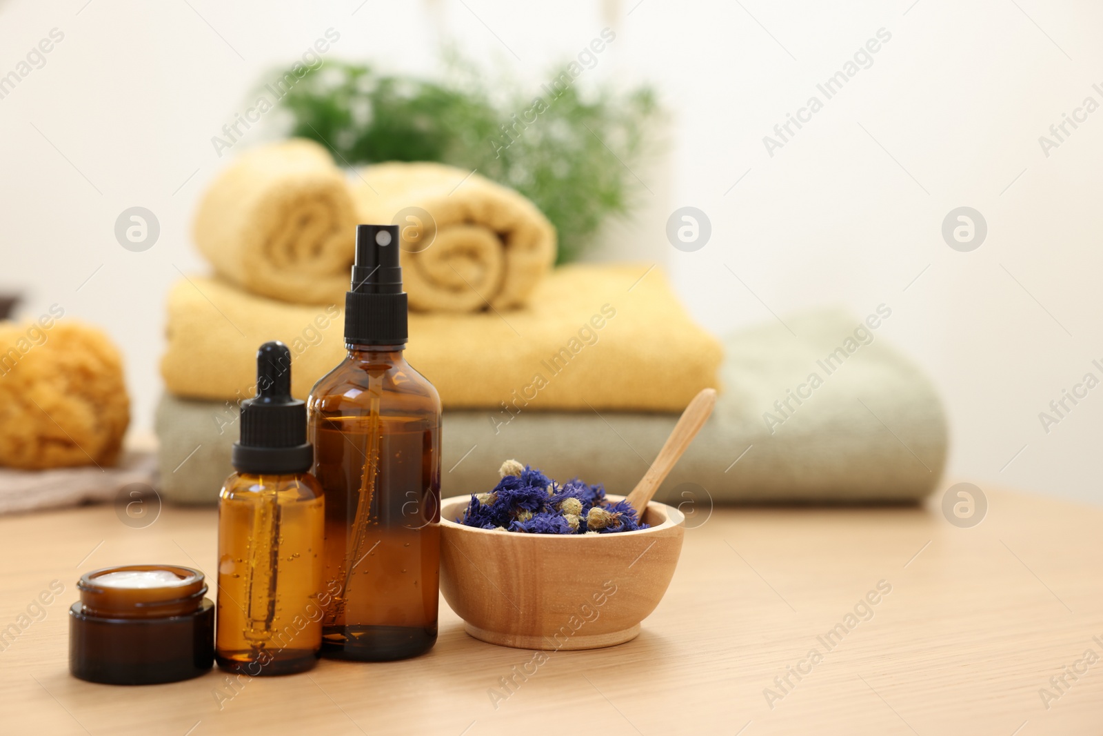 Photo of Bottles of essential oils, dry flowers and jar with cream on light wooden table, space for text. Spa therapy