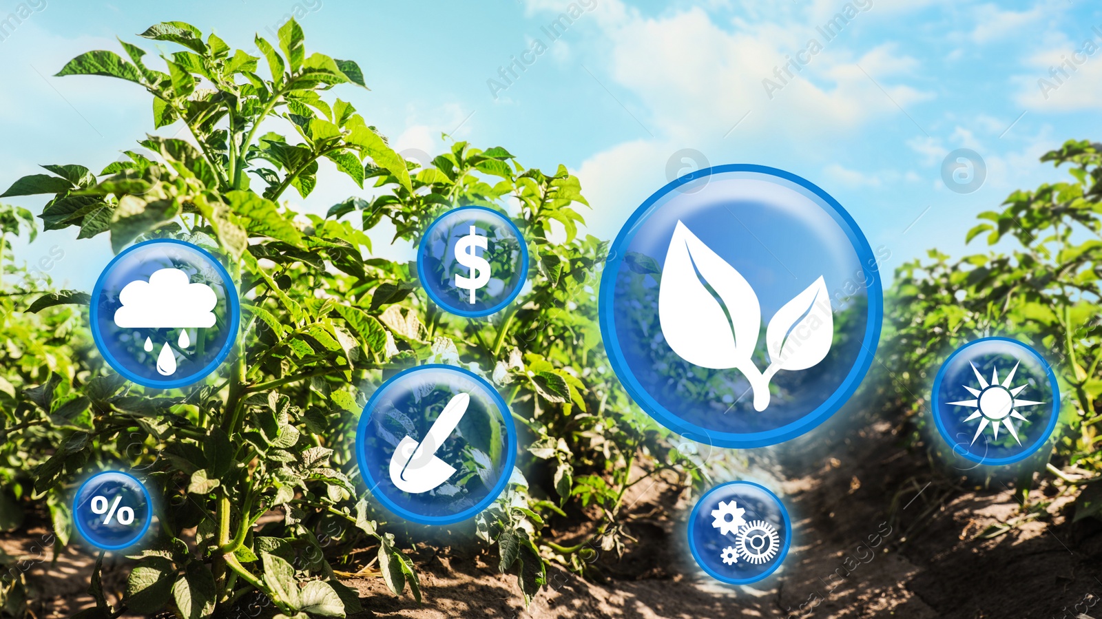 Image of Modern agriculture concept. Icons and field on background