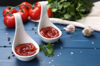 Organic ketchup in spoons and spices on blue wooden table. Tomato sauce