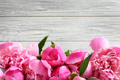 Fragrant peonies against wooden background. Beautiful spring flowers