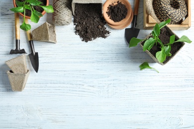 Photo of Flat lay composition with gardening tools and plants on wooden background