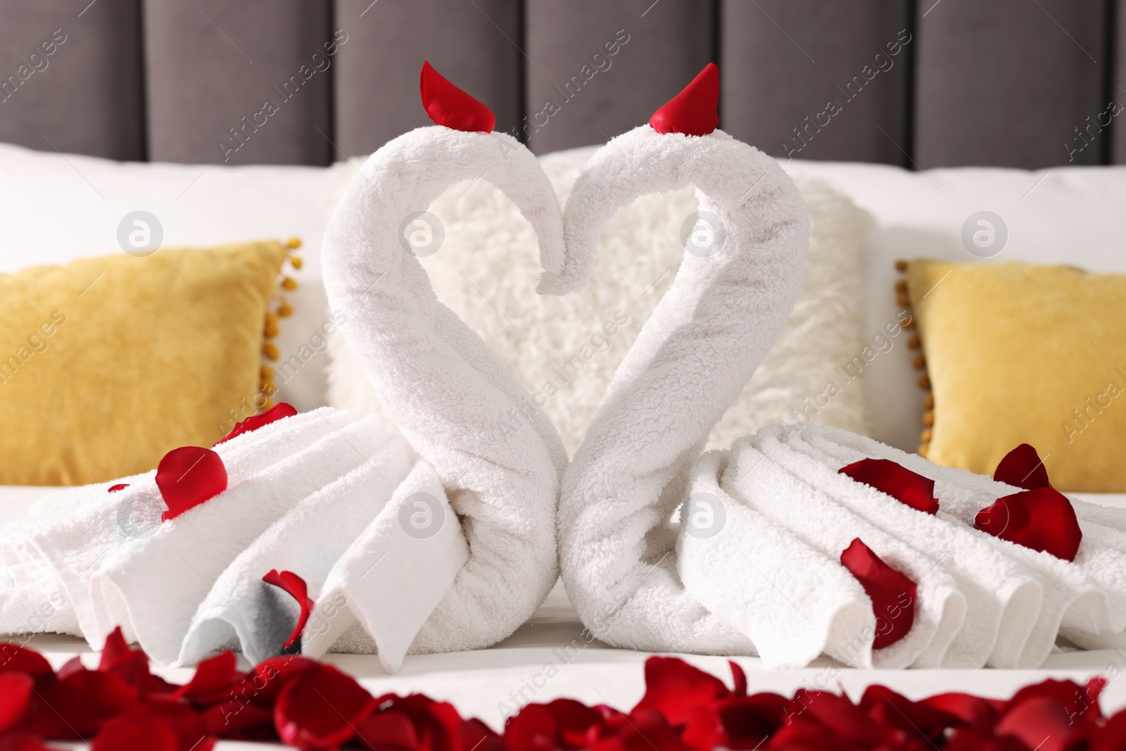 Photo of Honeymoon. Swans made with towels and beautiful rose petals on bed, closeup
