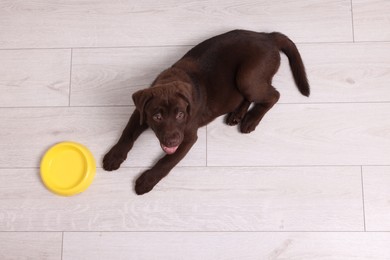 Photo of Cute chocolate Labrador Retriever puppy near feeding bowl on floor indoors, top view. Lovely pet