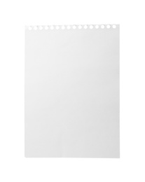 Blank notebook paper isolated on white. Space for design