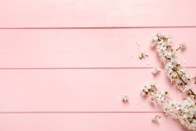 Photo of Cherry tree branches with beautiful blossoms on pink wooden table, flat lay. Space for text