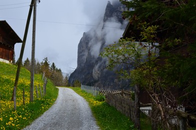 Photo of Beautiful view of pathway, green trees and flowers in mountains covered with fog