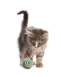 Photo of Cute kitten playing with ball on white background. Pet toy