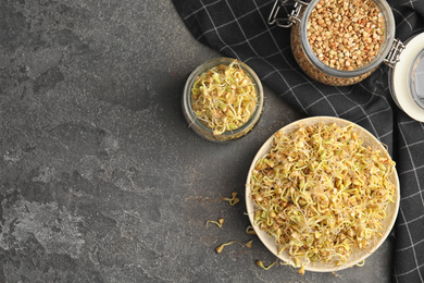 Flat lay composition with green buckwheat on grey table, space for text