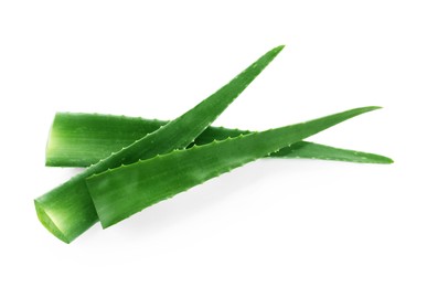 Photo of Green aloe vera leaves isolated on white