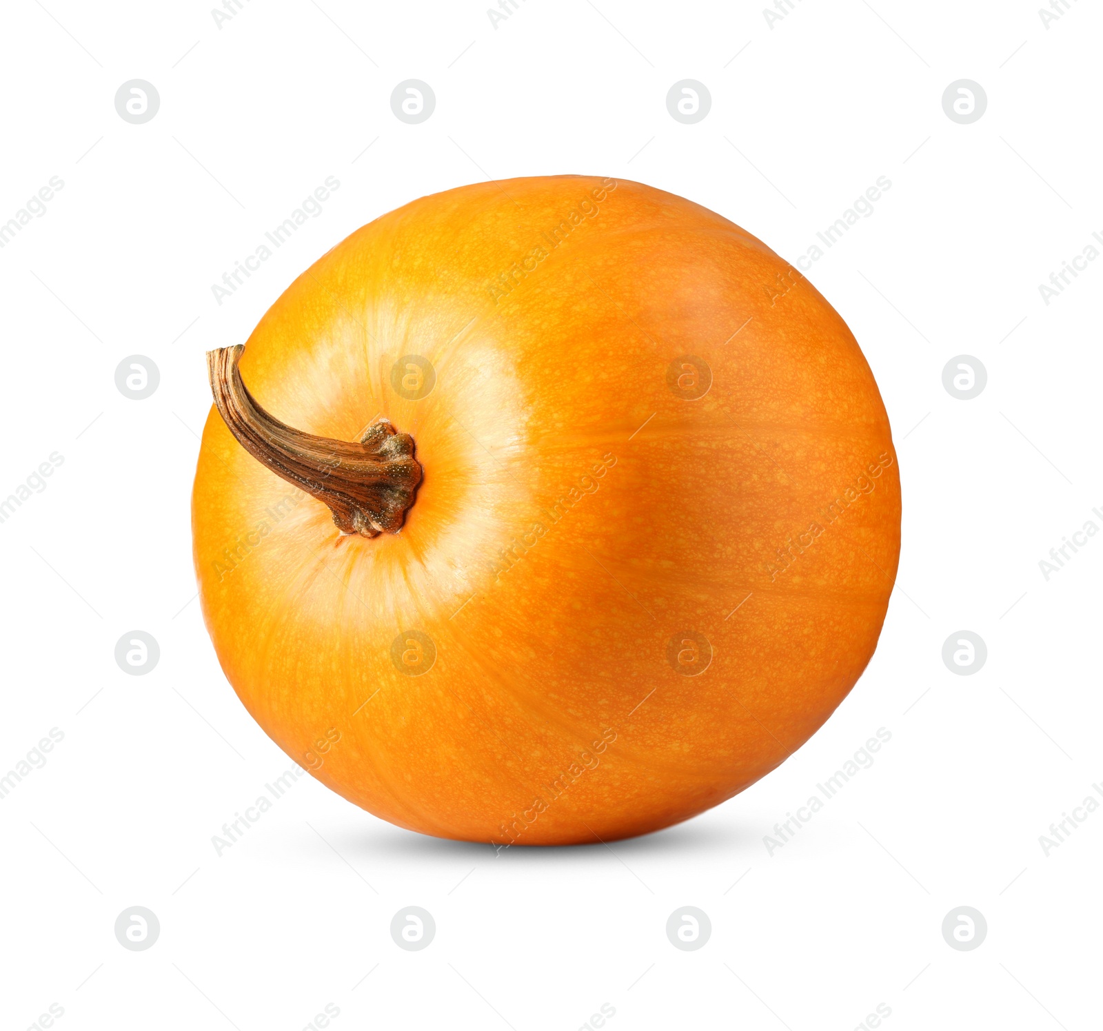 Photo of One fresh orange pumpkin isolated on white