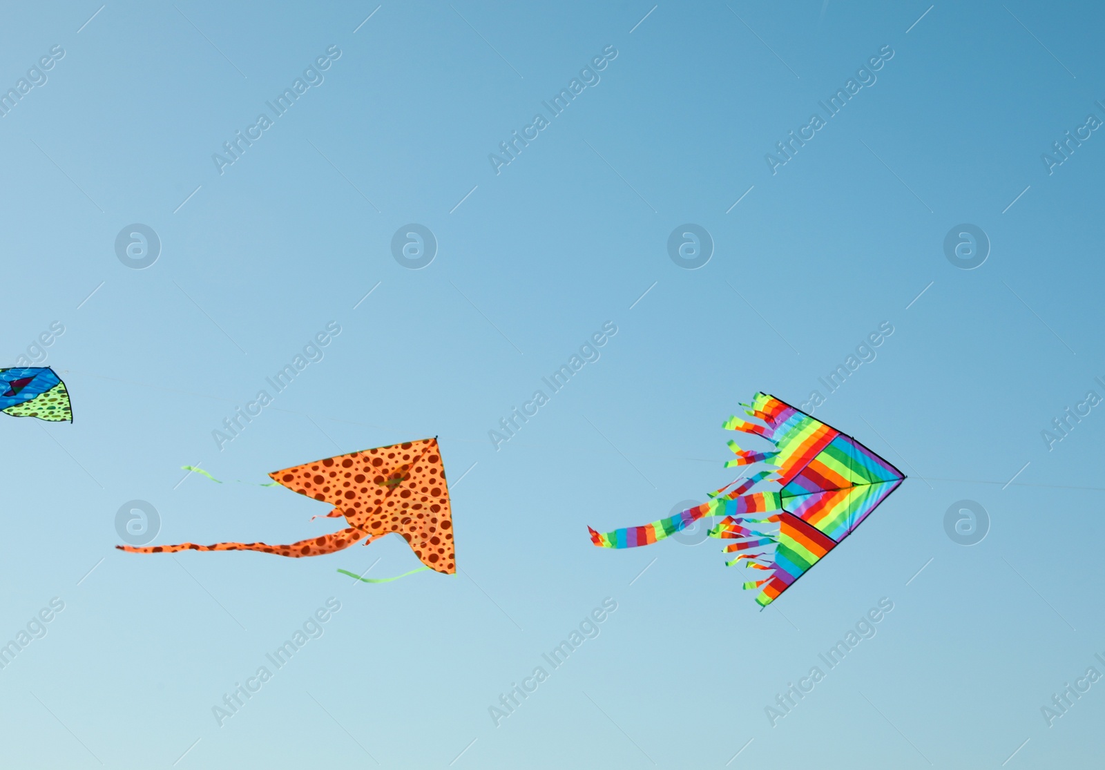 Photo of Bright rainbow kites in blue sky, low angle view