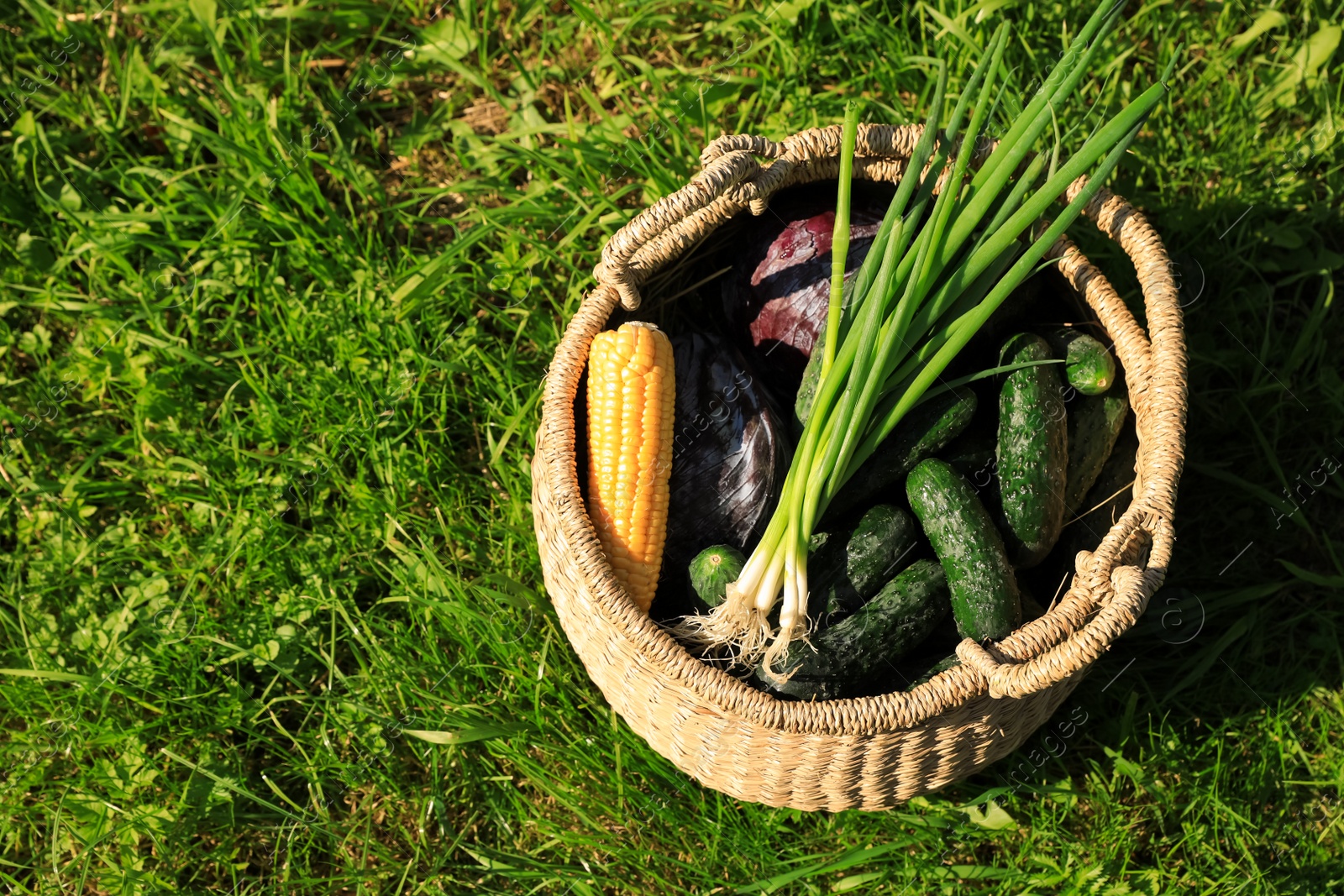 Photo of Tasty vegetables in wicker basket on green grass, top view. Space for text