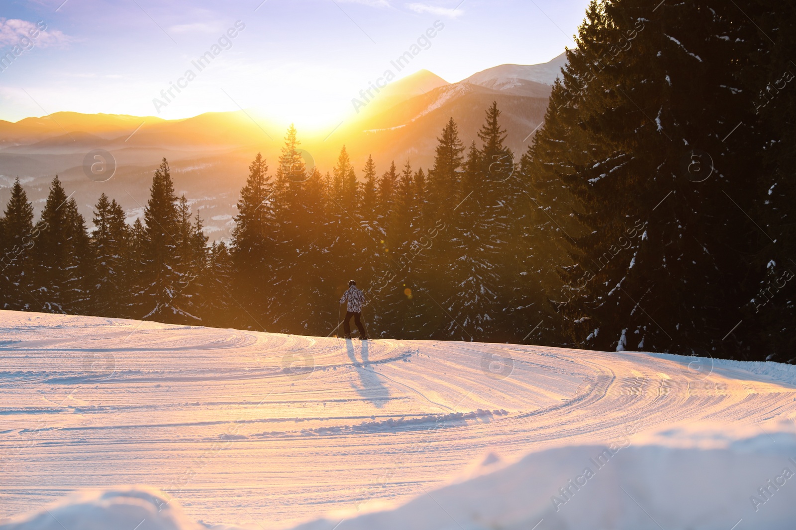 Photo of Skier on snowy slope at resort. Winter vacation